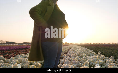 Una donna in stato di gravidanza in appoggio le mani sul suo dosso come essa si erge in un campo di magnifici fiori. Foto Stock