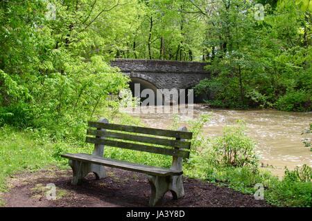 I parchi creek e con flusso di acqua alta con la cascata e il paesaggio del parco. Foto Stock