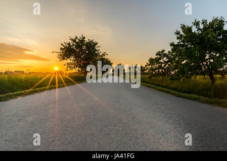 Foto orizzontale di strada di campagna con il tramonto in background. Strada grigio con alberi su entrambi i lati e azzurro cielo di sera senza veicoli. Foto Stock