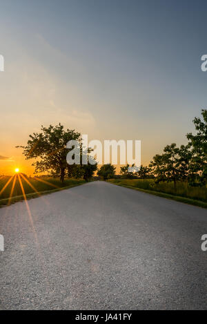 Foto verticale di strada di campagna con il tramonto in background. Strada grigio con alberi su entrambi i lati e azzurro cielo di sera senza veicoli. Foto Stock