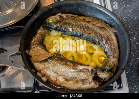 Pesci trote per cibo e roba di Lisbona Foto Stock