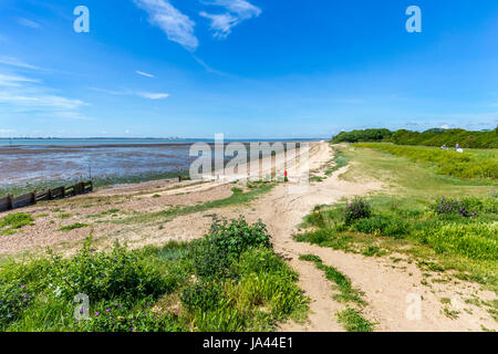 La spiaggia di sabbia a EAST MERSEA, Essex Foto Stock