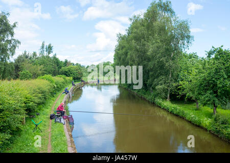 La pesca in Trent e Mersey Canal, Elworth, Sandbach, Cheshire, Regno Unito Foto Stock