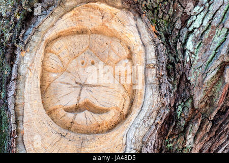 San Simons Island lo spirito ad albero, Mallery Park, St. Simons Island, Georgia Foto Stock