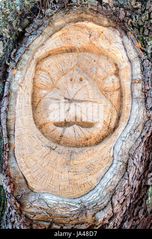 San Simons Island lo spirito ad albero, Mallery Park, St. Simons Island, Georgia Foto Stock