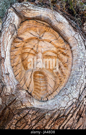 San Simons Island lo spirito ad albero, Mallery Park, St. Simons Island, Georgia Foto Stock