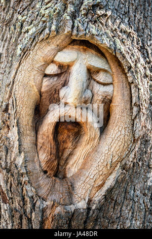 Con il loro triste e dolorosa espressioni, la struttura ad albero spiriti di San Simons Island, sembrano riflettere il dolore di aspetto degli alberi stessi con il Foto Stock