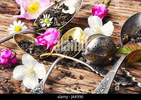 Grande assortimento di tisane in cucchiaini su uno sfondo di legno Foto Stock