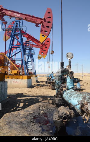 I martelli pneumatici di olio nello Xinjiang in Cina. Annuendo asini pompando olio Foto Stock