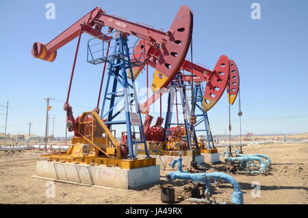 I martelli pneumatici di olio nello Xinjiang in Cina. Annuendo asini pompando olio Foto Stock