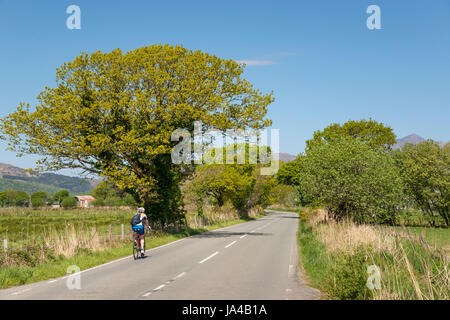 Donna in bicicletta lungo una strada di campagna nel parco nazionale di Snowdonia, il Galles del Nord. Foto Stock