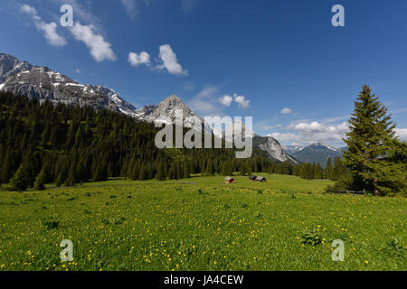 Pascolo alpino con rifugi romantici di fronte il Mieminger Kette mountain range vicino al lago Seebensee, Tirolo, Austria Foto Stock