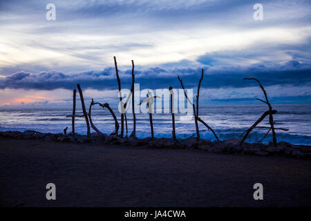 Driftwood scultura - nome della città segno scolpito dal trovato deriva su legno Hokitika Beach, Isola del Sud, Nuova Zelanda Foto Stock
