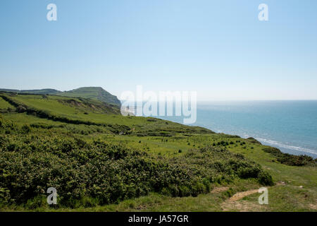 Vista da Dorset sentiero costiero di Lyme Bay e Golden Cap, il punto più alto sulla costa sud dell'Inghilterra, su una bella estate precoce dei giorni di maggio Foto Stock