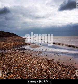 Cani giocando sulla spiaggia Foto Stock