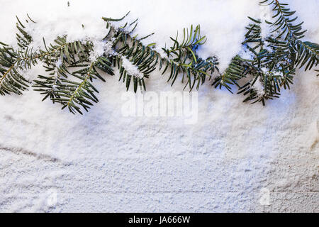 Innevate sullo sfondo di Natale con rami di abete. Foto Stock