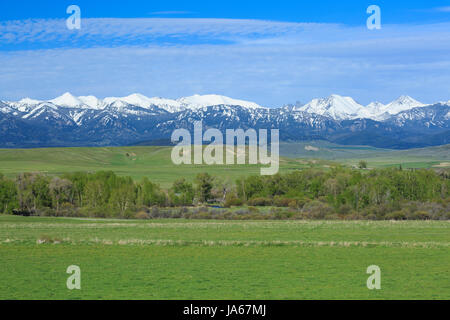 Crazy montagne sopra gli scudi River Valley vicino a wilsall, montana Foto Stock