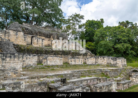Rovine maya al Parco Nazionale di Tikal - Guatemala Foto Stock