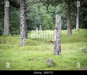 8 agosto 2017 - Afjord, il Trondelag, Norvegia - Il cimitero Dragsseidet è il più grande esempio di epoca vichinga sepoltura in Norvegia con bautas intatto o gli oggetti contrassegnati per la rimozione definitiva. Inizialmente costituito da circa 60 sepolture solo circa 40 rimangono intatti dopo la più moderna clearing per la coltivazione, il decadimento naturale e l'alloggiamento. Il cimitero Dragseidaet è creduto di essere stato utilizzato come luogo di sepoltura da circa 500 BC a circa mille. Siti di Grave sono costituiti da semplici tumuli in cerchi e forme di triangolo con alcune dotate di monoliti di pietra o bautas in un area di circa un quarto di acro o 5000 metri quadrati. St Foto Stock