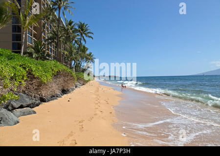 Spiaggia di Kaanapali, Hawaii di mattina presto. Una donna relaxalong riva Foto Stock
