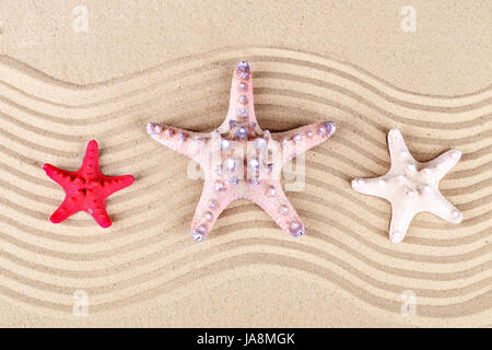 Tre stelle di mare giacciono sulla sabbia al mare. Foto Stock