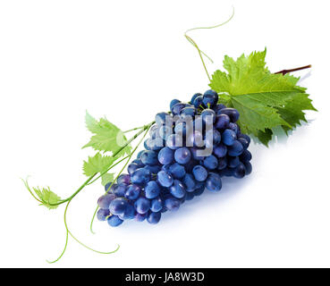 Blu, cibo, aliment, agricoli, isolato, verde, nuovo, foglie, nero, Foto Stock