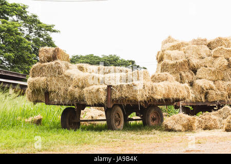 Cibo, aliment, agricole, industria, marrone, marrone, brunette, agricoltura, Foto Stock