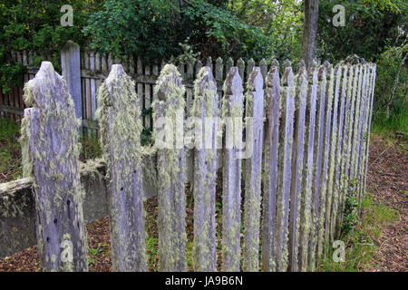 In legno ricoperta giardino recinto dettaglio, ad una fattoria, Patagonia, Argentina Foto Stock