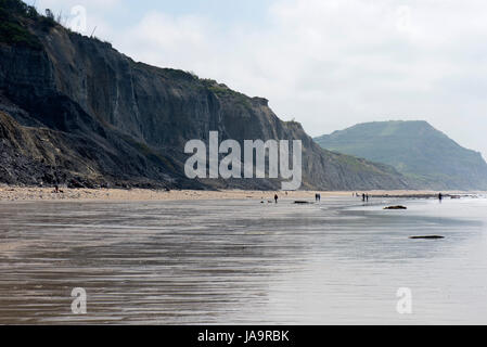 Bassa marea a molla sulla spiaggia a est a Charmouth con blue lias rocce e strati della Jurassic Coast, un sito del Patrimonio Mondiale, Dorset, può Foto Stock