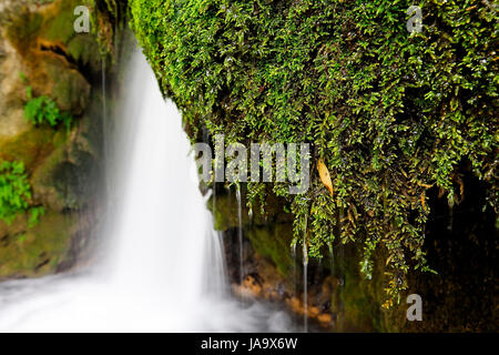 Cascate e la roccia coperta da muschio sulla barriera di tufo, il fiume Krupa, Croazia Foto Stock