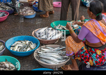 I pescatori e le donne acquistano e vendono pesce da un colorato vasi sul Quayside a Sassoon dock, Mumbai, India.