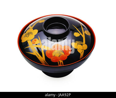 Tradizionale Giapponese del vasellame isolati su sfondo bianco Foto Stock