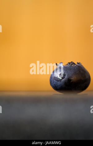 Unico blu scuro mirtillo seduto su un bancone contro uno sfondo arancione Foto Stock