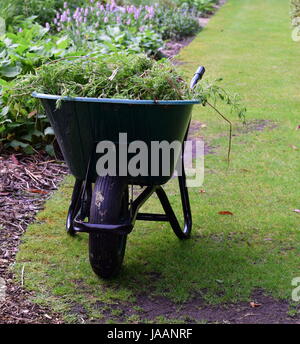 Rotella verde barrow riempito con erbacce sul percorso di erba fiore al bordo di sinistra di Barrow Foto Stock