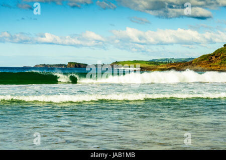 Viste dal Killalea Stae arca, Farm Beach, NSW Foto Stock