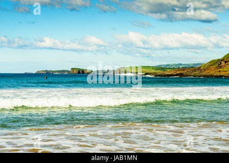 Viste dal Killalea Stae arca, Farm Beach, NSW Foto Stock