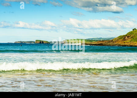 Viste dal Killalea Stae arca, Farm Beach, NSW Foto Stock