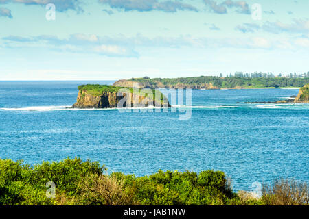 Viste dal Killalea Stae arca, Farm Beach, NSW Foto Stock