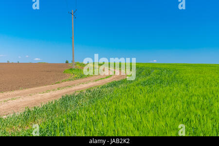 Paesaggio di primavera con una massa strada tra campi agricoli in Ucraina centrale Foto Stock