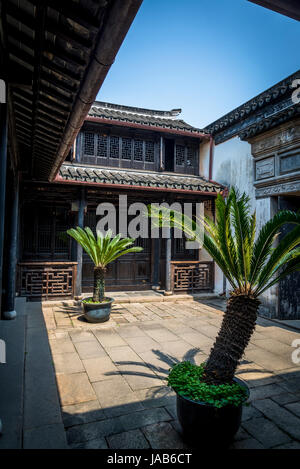 Atrium con Palm tree, Felice Agricoltura Hall, acqua antica città di Tongli, Suzhou, provincia dello Jiangsu, Cina Foto Stock