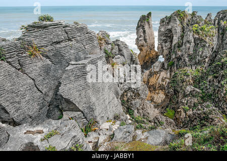 Nuova Zelanda rocce costiere: Modelli di sedimentazione e di erosione mostrano in forma finemente dettagliato "pancake" formazioni di roccia sulla costa ovest della Nuova Zelanda. Foto Stock