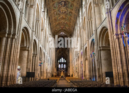 La magnifica navata della Cattedrale di Ely in Ely, Inghilterra Foto Stock