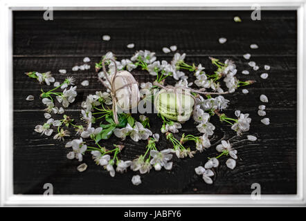 Il bianco e il verde mararoons in poco sbocciare fiori su sfondo nero nella cornice bianca Foto Stock