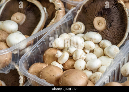 Una varietà di funghi in vendita. Foto Stock