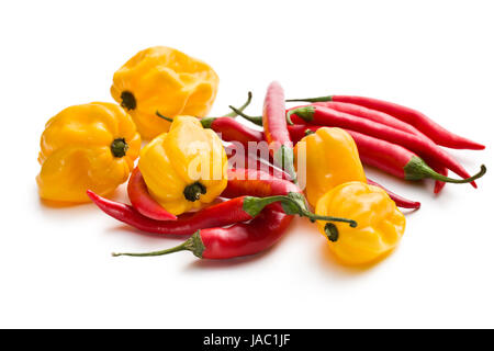 Peperoncino rosso e giallo habanero su sfondo bianco Foto Stock