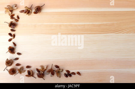 I dadi di faggio e vuoto gusci di noce formano una metà sul confine woodgrain sfondo con spazio di copia Foto Stock