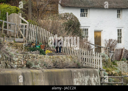 L'uomo giardinaggio in minuscolo a terrazze giardino vegetale sopra la parete del porto nel villaggio costiero, imbiancate cottage con il tetto di paglia al di là - Runswick Bay, England, Regno Unito Foto Stock