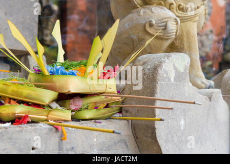 Religiosi tradizionali offerte balinese a Bali di fatti a mano in piccoli cesti con fiori, cibo e bastoncini di incenso Foto Stock