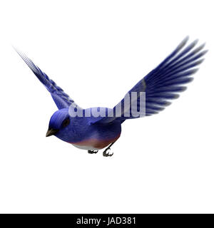 3D render digitale di un orientale blue bird isolati su sfondo bianco Foto Stock