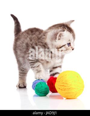 Gattino con sfere di thread. piccolo gattino su sfondo bianco. Foto Stock